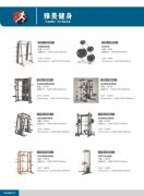 开元(中国)集团有限公司官网健身室内器材10